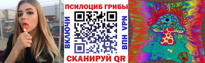 Псилоцибиновые грибы GOLDEN TEACHER  наркошоп  omg маркетплейс  Александровск 